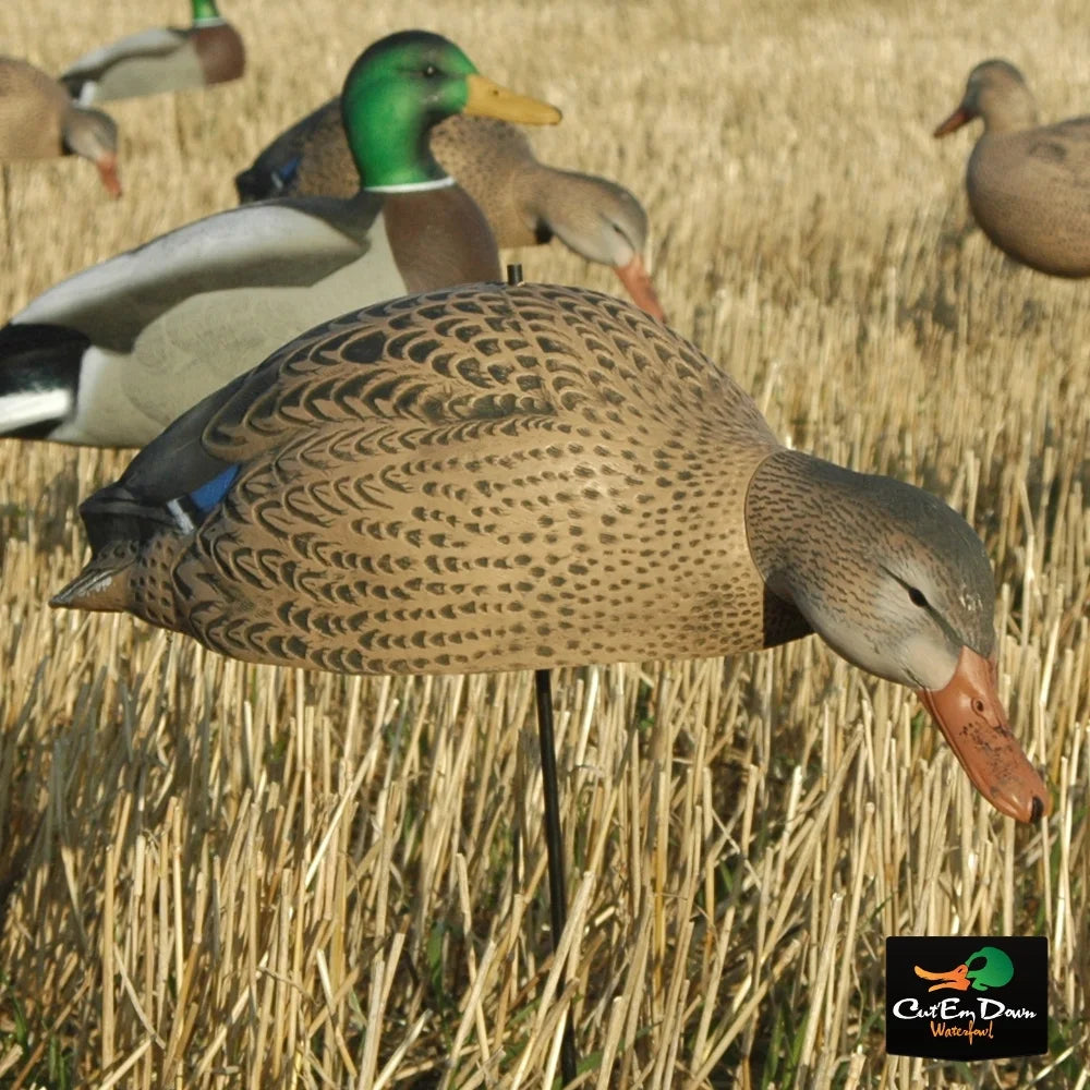 Dozen Mallard Duck Decoy Shells I112