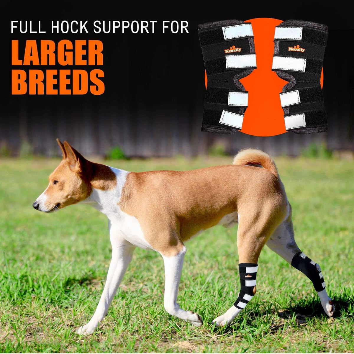 Dog Hind Leg Brace with Reflective Straps J626