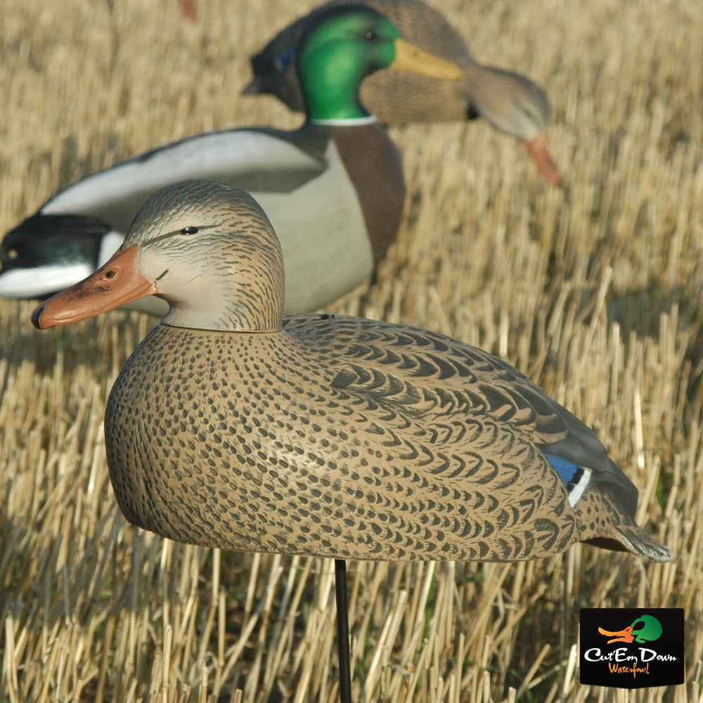 Dozen Mallard Duck Decoy Shells I112
